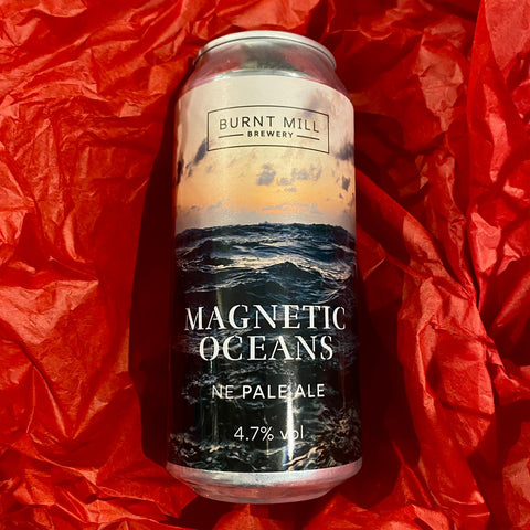 ADVENT CALENDAR 15TH DECEMBER 2021 BURNT MILL MAGNETIC OCEANS