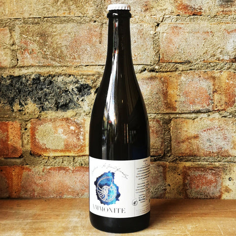 Ammonite Solera IV 5% (750ml)