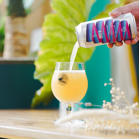 Track X Orchestrated Minds Out Beyond 8% DIPA (440ml)