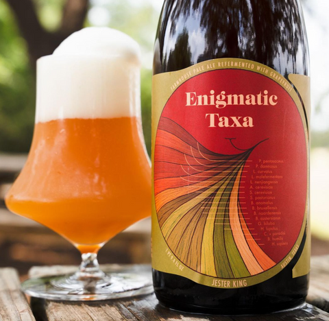 Jester King x Perennial Enigmatic Taxa 7% (750ml)