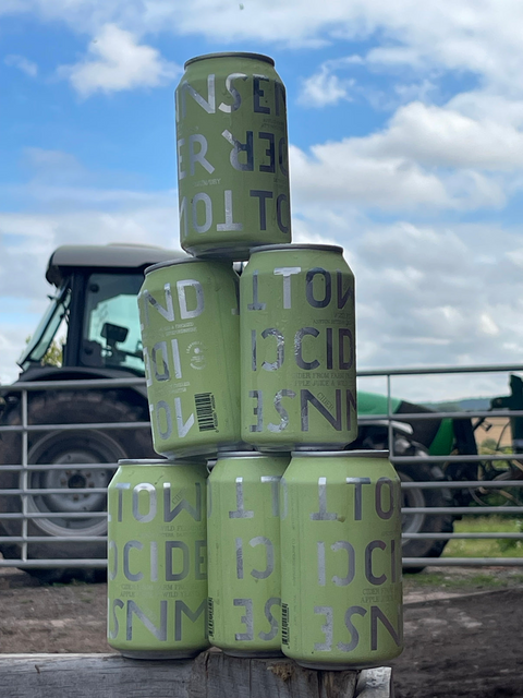 Townsend Wild Ferment Cider 6% (330ml)