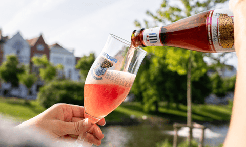 Brugse Zot Rose de Bruges 4.8% (330ml)