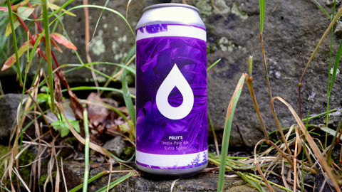 Beer of the Week: Polly's Extra Scene IPA
