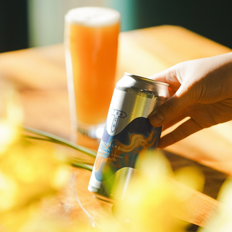 Track Exposure IPA 6.7% (440ml)