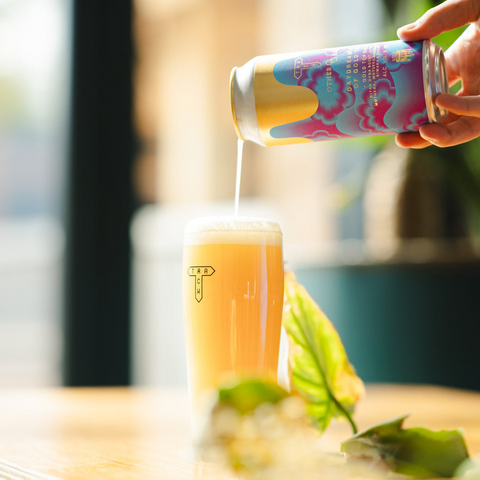 Track x Other Half Daydreaming of Gold Top 8.4% (440ml)