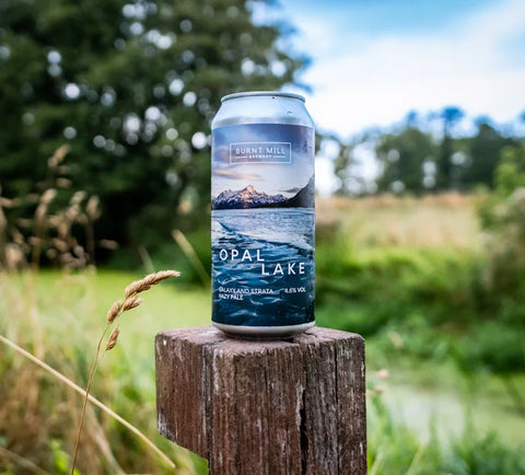 Burnt Mill Opal Lake Hazy GF Pale 4.6% (440ml)