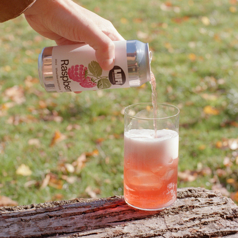 Lofi Raspberry 2.5% (440ml)