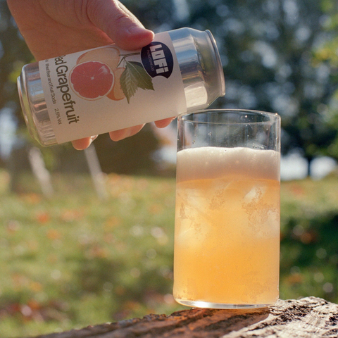 Lofi Red Grapefruit 2.5% (440ml)