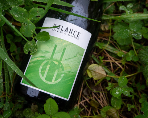 Balance Greengage Wild Ale 2023 6.5% (375ml)