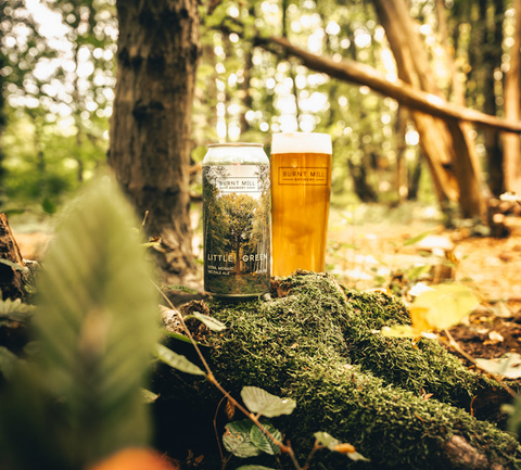Burnt Mill Little Green WC GF Pale 4.5% (440ml)