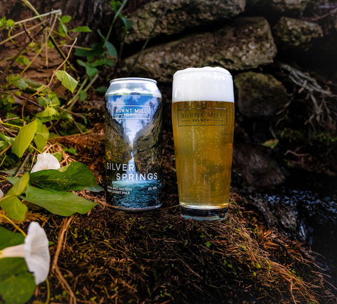 Burnt Mill Silver Springs WC Pale 4% (440ml)