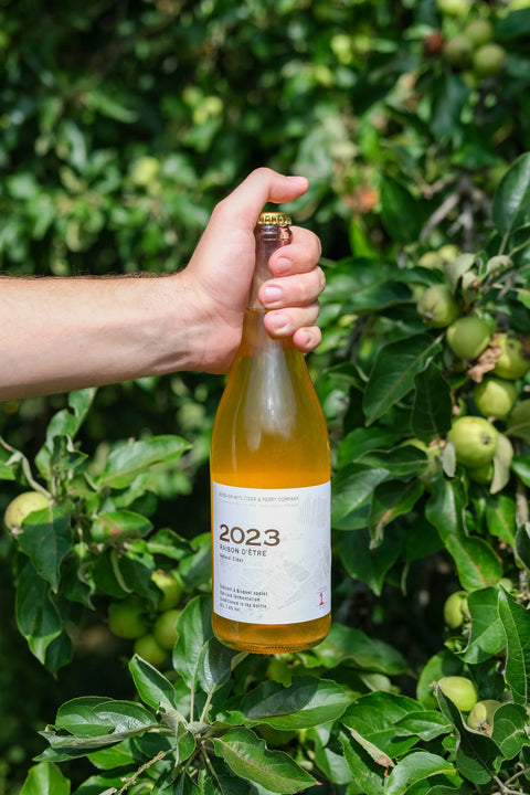 Ross On Wye Raison d'Etre 2023 7.4% (750ml)