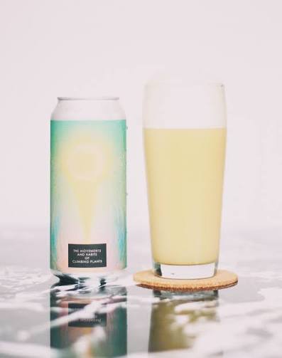 TEST The Movement And Habbits DIPA 8% (473ml)