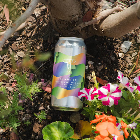 Track On & On 5.3% Pale GF (440ml)