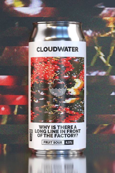 Cloudwater Why Is There A Long Line In Front Of The Factory? Fruited Sour 4.5% (440ml)