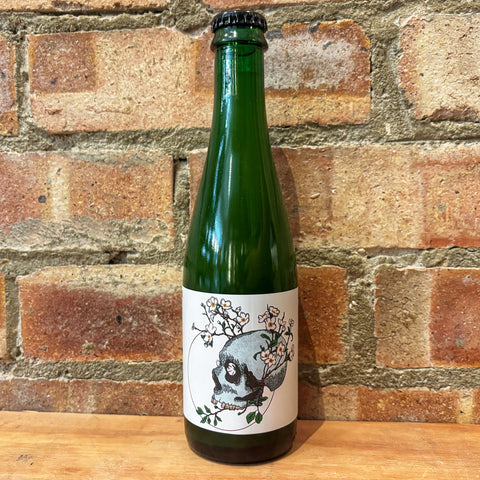 Holy Goat Mirabelle Sour Mixed Fermentation Golden Sour with Mirabelle Plums 6.5% (375ml)