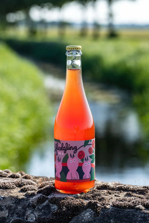 Nightingale Fledgling 6 Pet Nat Cider 6% (750ml)