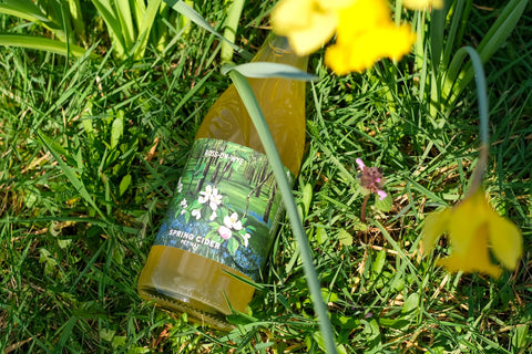 Ross on Wye Spring Cider 2025 Pet Nat 6.5% (750ml)