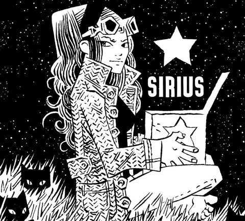 Burning Sky Sirius Export Stout 6% (440ml)