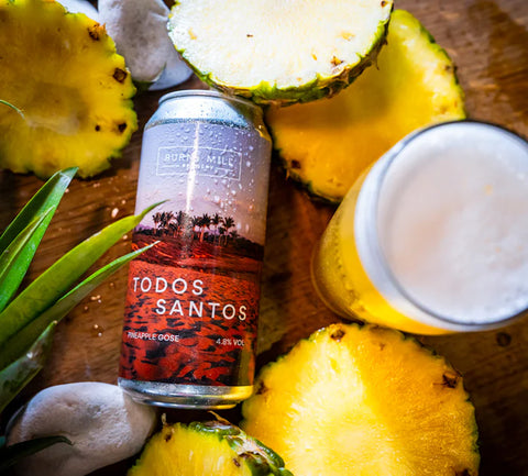 Burnt Mill Todos Santos Pineapple Gose 4.8% (440ml)