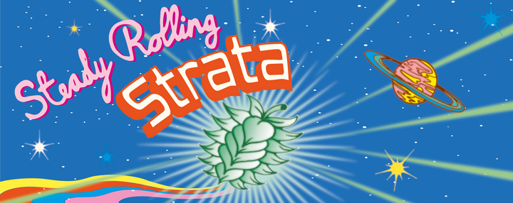 Steady Rolling Strata Launch - 10th November