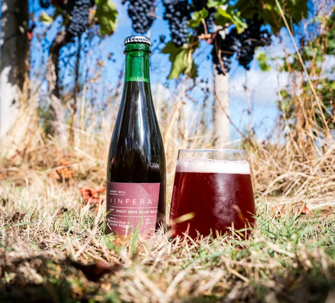 Burnt Mill Vinifera BA Mixed-Ferm Pinot Noir Sour 7.5% (375ml)