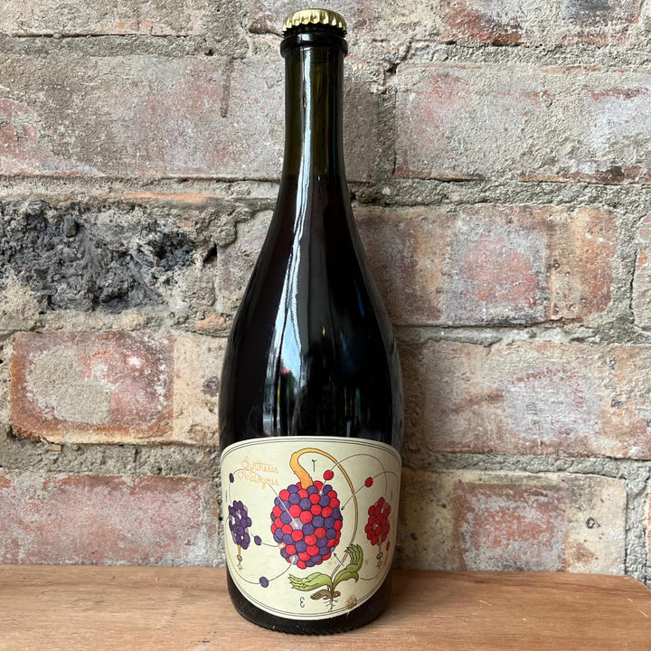 Jester King Synthesis Analoguos 2022 7.9% (750ml)
